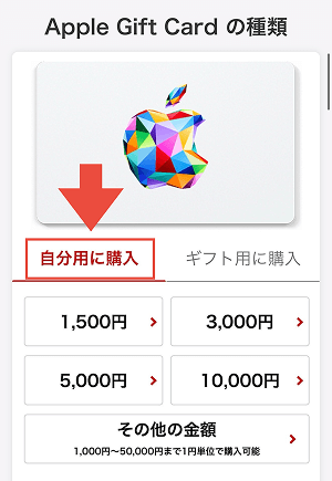 (ALT)楽天市場 Appleギフトカード 自分用 購入方法1