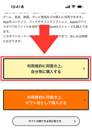 (ALT)Kiigo Appleギフトカード 購入方法2