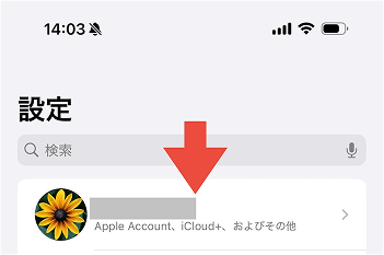 iPhone キャリア決済 設定方法1